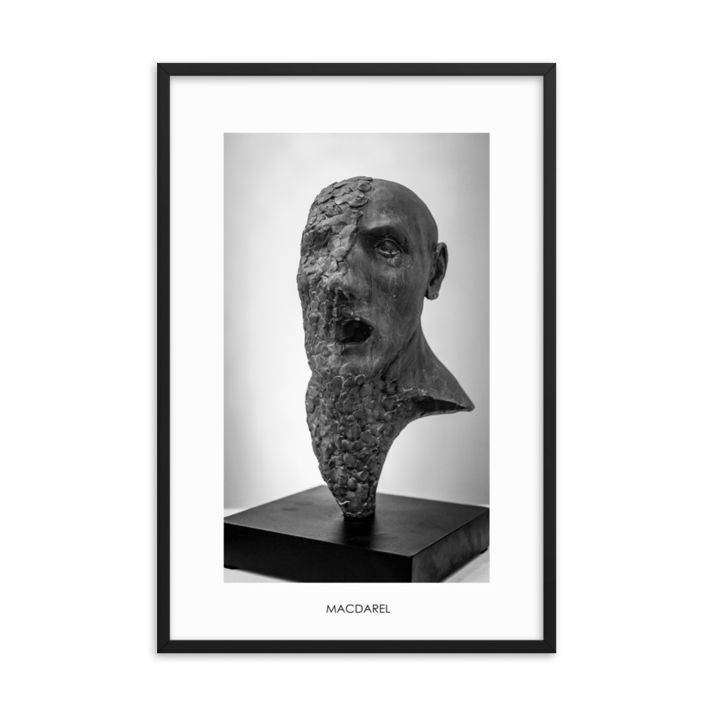 Framed photo paper poster
